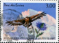 N°3054-1997-FRANCE-PARC DES ECRINS-AIGLE ROYAL ET CHARDON