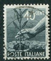 N°0484-1945-ITALIE-PLANTATION OLIVIER-40C-ARDOISE