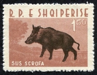 N°0599-1962-ALBANIE-ANIMAUX-SANGLIER-1L50