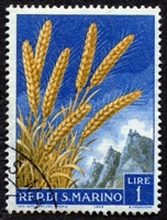 N°0449-1958-SAINT MARIN-PROD AGRICOLE-BLE-1L
