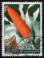 N°0450-1958-SAINT MARIN-PROD AGRICOLE-MAIS-2L