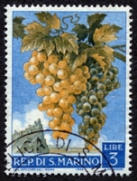 N°0451-1958-SAINT MARIN-PROD AGRICOLE-RAISIN-3L