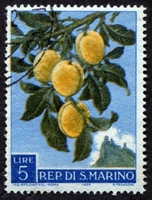 N°0453-1958-SAINT MARIN-PROD AGRICOLE-PRUNES-5L