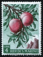 N°0452-1958-SAINT MARIN-PROD AGRICOLES-PECHES-4L