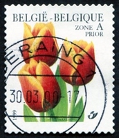 N°2876-1999-BELGIQUE-FLEUR-TULIPES