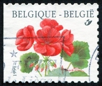 N°2875-1999-BELGIQUE-FLEUR-GERANIUM