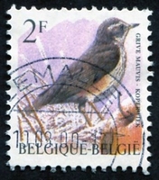 N°2646-1996-BELGIQUE-OISEAU-GRIVE MAUVIS-2F