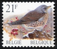 N°2792-1998-BELGIQUE-OISEAU-GRIVE LITORNE-21F