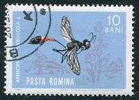 N°1969-1964-ROUMANIE-INSECTE-AMMOPHILA SABULOSA-10B