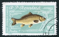 N°1741-1960-ROUMANIE-POISSON-CARPE-10B