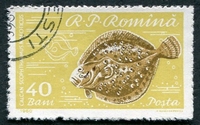 N°1743-1960-ROUMANIE-POISSON-TURBOT-40B