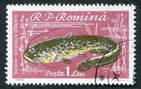 N°1745-1960-ROUMANIE-POISSON-SILURE-1L