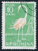 N°1553-1957-ROUMANIE-OISEAU-AIGRETTE-10B