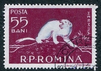 N°1556-1957-ROUMANIE-HERMINE-55B