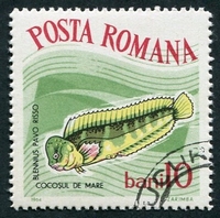 N°2002-1964-ROUMANIE-POISSON-BLENNIE-10B