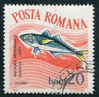 N°2003-1964-ROUMANIE-POISSON-CHINCHARD-20B