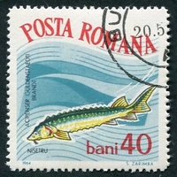 N°2004-1964-ROUMANIE-POISSON-ESTURGEON-40B