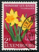 N°0491-1955-LUXEMBOURG-FLEUR-NARCISSE-2F