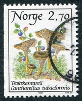 N°0924-1987-NORVEGE-CHAMPIGNONS-CANTHARELLUS-2K70