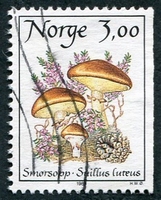 N°0967-1989-NORVEGE-CHAMPIGNONS-SUILLUS LUTEUS-3K