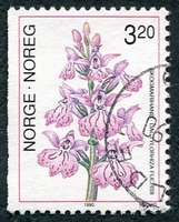 N°0995-1990-NORVEGE-FLEUR-ORCHIDEE DACTYLORHIZA-3K20