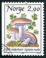 N°0946-1988-NORVEGE-CHAMPIGNONS-LEPISTA NUDA-2K90