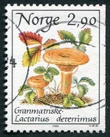 N°0947-1988-NORVEGE-CHAMPIGNONS-LACTARIUS DETERRINUS-2K90