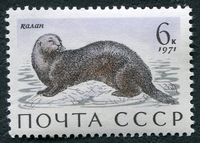 N°3748-1971-RUSSIE-FAUNE MARINE-LOUTRE DE MER-6K