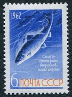 N°2557-1962-RUSSIE-POISSON-SAUMON-6K