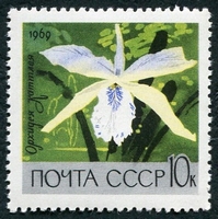 N°3489-1969-RUSSIE-FLEUR-ORCHIDEE-10K