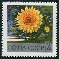 N°3490-1969-RUSSIE-FLEUR-DALHIA-12K