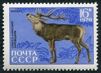 N°3647-1970-RUSSIE-FAUNE-CERF-16K