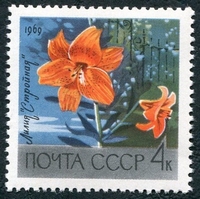 N°3488-1969-RUSSIE-FLEUR-LIS JAUNE-4K