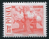 N°1561-1966-POLOGNE-TOURISME-ARBRES CENTENAIRES-1Z35