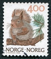 N°0970-1991-NORVEGE-ANIMAL-ECUREUIL-4K