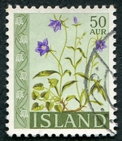 N°0302A-1960-ISLANDE-FLEURS-BLEUETS-50A