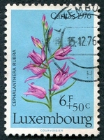 N°0888-1976-LUXEMBOURG-FLEURS-CEPHALANTHERA RUBRA-6F+50C