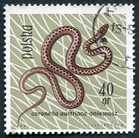 N°1260-1963-POLOGNE-SERPENT-40GR