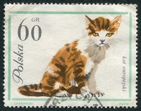 N°1335-1964-POLOGNE-CHAT TIGRE-60GR