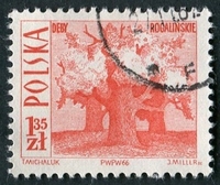 N°1561-1966-POLOGNE-ARBRES CENTENAIRES-1Z35-ROUGE