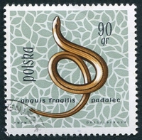 N°1263-1963-POLOGNE-REPTILES-ORVET-90GR