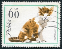 N°1335-1964-POLOGNE-CHAT TIGRE-60GR