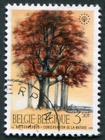 N°1526-1970-BELGIQUE-ARBRES-HETRE ET JARDIN BOTANIQUE-3F50