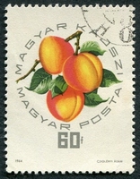 N°1663-1964-HONGRIE-FRUITS-ABRICOTS HONGROIS-60FI