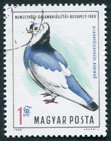 N°2090-1969-HONGRIE-OISEAUX-PIGEON CULBUTANT-1FO