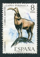 N°1695-1971-ESPAGNE-FAUNE-MOUFLON-8P