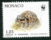 N°1808-1991-MONACO-TORTUE ET FEUILLES