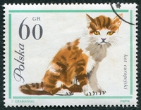 N°1335-1964-POLOGNE-CHAT TIGRE-60GR