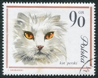 N°1336-1964-POLOGNE-CHAT PERSAN BLANC-90GR