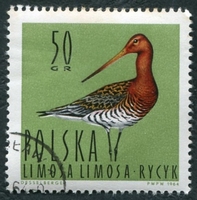 N°1349-1964-POLOGNE-OISEAUX-BARGE A QUEUE NOIRE-50GR